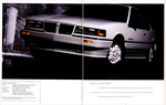 1987 Pontiac-08